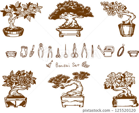 Set of line drawings of bonsai and bonsai tools Set of line drawings of bonsai and bonsai tools 125520120