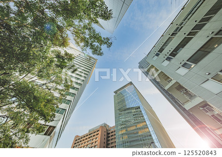 陽光明媚的東京建築 陽光明媚的東京建築 125520843