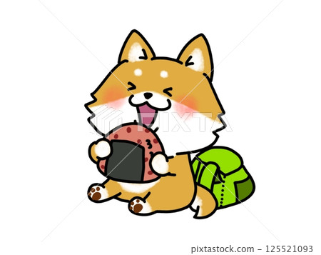 Shiba Inu eating rice balls on a field trip 125521093