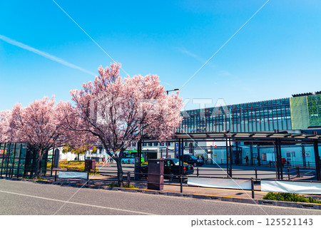 Cherry blossoms in bloom at the west exit of Higashimurayama Station. Elevated track construction in progress. 2025.04 b-4 Light color 125521143