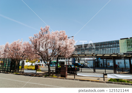 Cherry blossoms in bloom in front of the west exit of Higashimurayama Station. Elevated construction in progress. 2025.04 b-5 Film-like 125521144