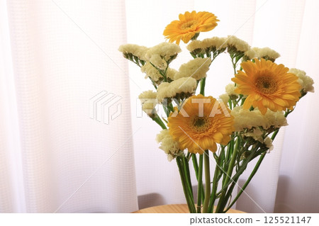 Gerbera and statice Gerbera and statice 125521147