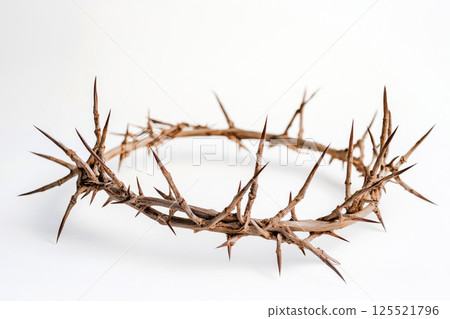 Crown of thorns on white background front view. 125521796