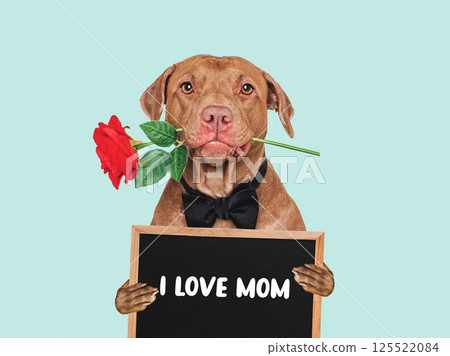 Cute dog and sign with love words for Mom Cute dog and sign with love words for Mom 125522084