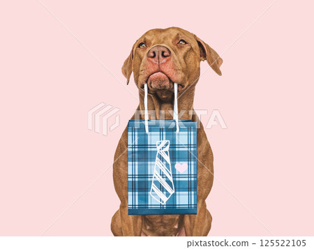 Cute puppy and shopping bag. Sales preparation 125522105