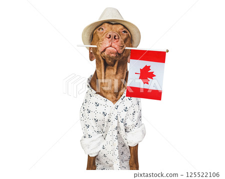 Cute puppy, sun hat and Canadian Flag. Cute puppy, sun hat and Canadian Flag. 125522106