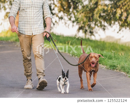 Charming dog, pretty little puppy and attractive man Charming dog, pretty little puppy and attractive man 125522124