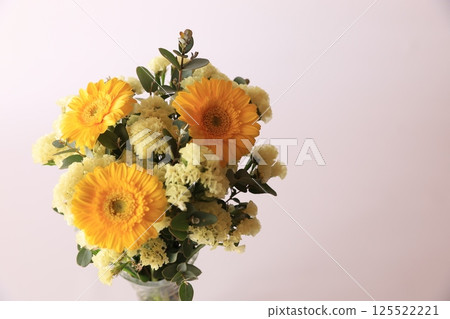 非洲菊和statice 非洲菊和statice 125522221