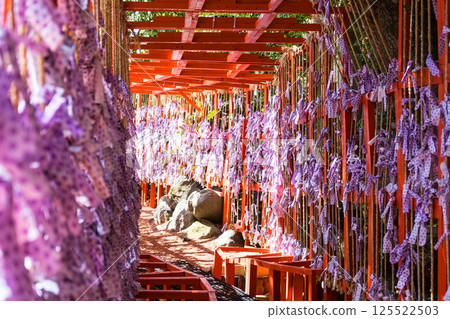 Fortune-telling slips installed in a tunnel shape | Fortune-telling slip image | Ishiura Shrine | Photo taken in April 2025 | Kanazawa City, Ishikawa Prefecture 125522503