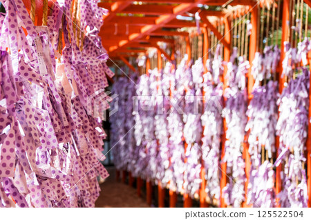 Fortune-telling slips installed in a tunnel shape | Fortune-telling slip image | Ishiura Shrine | Photo taken in April 2025 | Kanazawa City, Ishikawa Prefecture Fortune-telling slips installed in a tunnel shape | Fortune-telling slip image | Ishiura Shrine | Photo taken in April 2025 | Kanazawa City, Ishikawa Prefecture 125522504