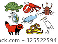 日本常見的生物插圖 125522594