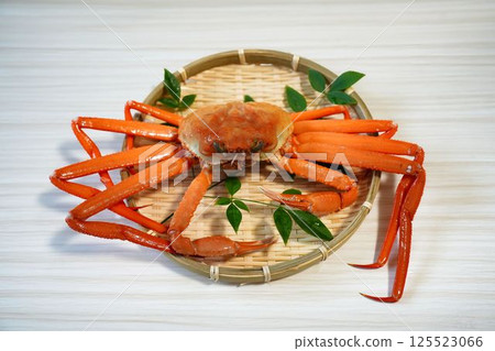 當季紅雪蟹 當季紅雪蟹 125523066