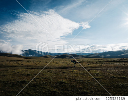 Aerial view of woman trail runner in high altitude mountains 125523189