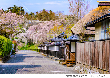 Spring Walking in a Small Town in Miyagi (Tomeshi Toyomamachi) 125523245