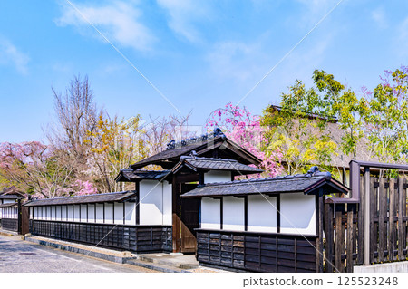 Spring Walking in a Small Town in Miyagi (Tomeshi Toyomamachi) 125523248