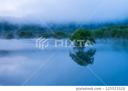 白川湖被淹沒的森林 125523328