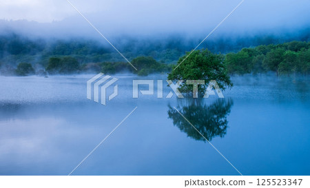 Submerged forest of Shirakawa lake Submerged forest of Shirakawa lake 125523347