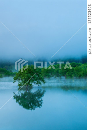 Submerged forest of Shirakawa lake Submerged forest of Shirakawa lake 125523498