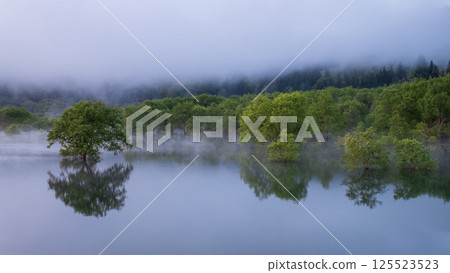 Submerged forest of Shirakawa lake 125523523