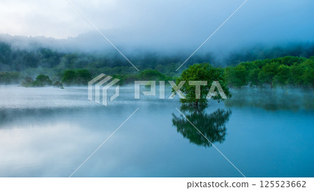 白川湖被淹沒的森林 125523662