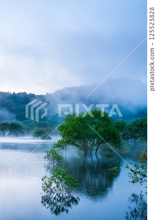 Submerged forest of Shirakawa lake 125523828