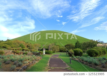 從靜岡縣伊東市櫻之裡眺望大室山 125523995