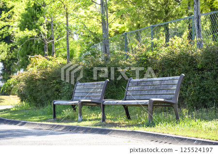 Park bench bench park fresh green Park bench bench park fresh green 125524197