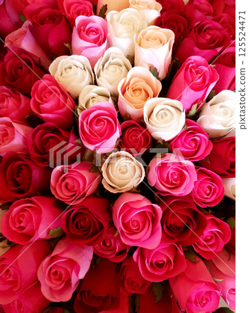 Background of pink and red roses. 125524471