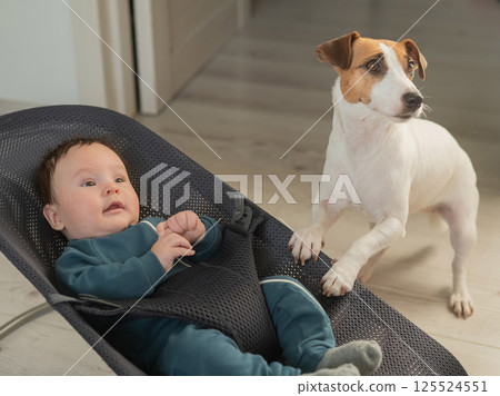 A dog rocks a cute three month old boy dressed in a blue onesie in a baby bouncer.  125524551