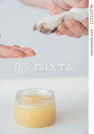 The owner puts wax on the dog's paws.  125524746