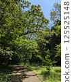 Road surrounded by fresh green 125525148