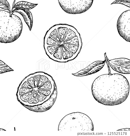 Seamless pattern with yuzu fruits in engraving style. Monochrome outline  illustration. 125525178