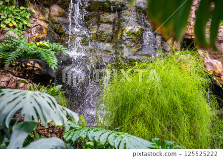 Waterfall in botanical garden with diverse plants located in Kemerovo, Russia. Environmental education, plant conservation, and global biodiversity connection Waterfall in botanical garden with diverse plants located in Kemerovo, Russia. Environmental education, plant conservation, and global biodiversity connection 125525222