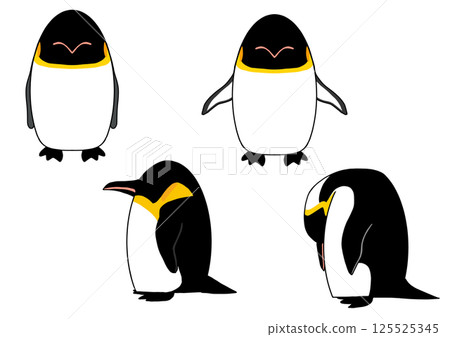 Emperor penguin 4 pose set Emperor penguin 4 pose set 125525345