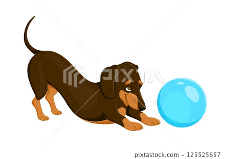 Cartoon dachshund dog playing with ball, puppy funny character, vector kawaii pet. Dachshund or sausage dog puppy with happy muzzle and playing with blue ball for kids mascot or animal character Cartoon dachshund dog playing with ball, puppy funny character, vector kawaii pet. Dachshund or sausage dog puppy with happy muzzle and playing with blue ball for kids mascot or animal character 125525657