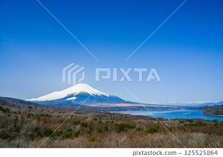 Lake Yamanaka and Mt. Fuji from Panorama Dai, Yamanashi Prefecture 125525864