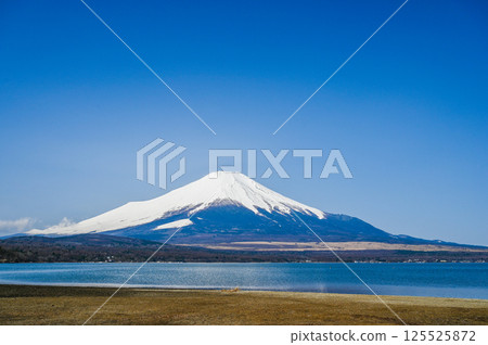 山梨縣山中湖和富士山 125525872