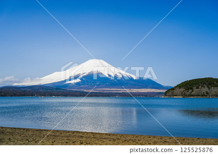 Lake Yamanaka and Mt. Fuji in Yamanashi Prefecture 125525876