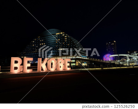 夜晚燈火通明的海港樂園 125526250