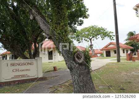 Chamorro Night Market in Guam 125526260