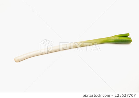 白洋蔥 125527707