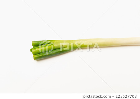 白洋蔥 125527708
