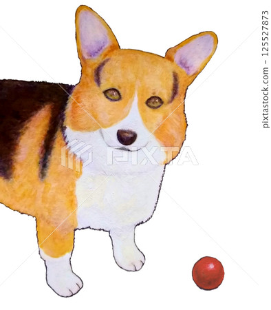 三色柯基犬玩球 125527873