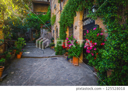 Amazing entrances decorated with colorful flowers, Civita di Bagnoregio, Italy Amazing entrances decorated with colorful flowers, Civita di Bagnoregio, Italy 125528018
