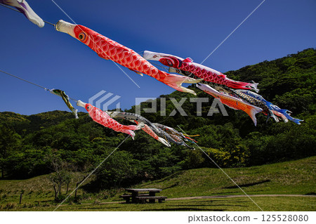 <Goto scenery> Carp streamers at Manyo Park 125528080