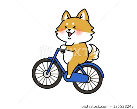A happy Shiba Inu riding a bicycle 125528242