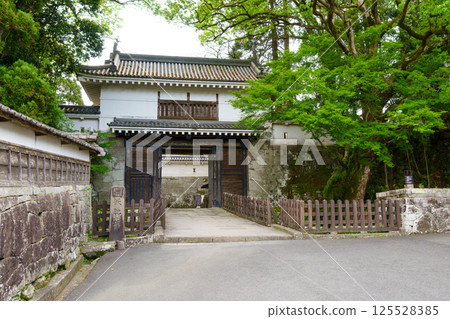 Obi Castle Main Gate Obi Castle Main Gate 125528385