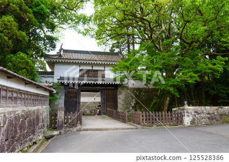 Obi Castle Main Gate Obi Castle Main Gate 125528386