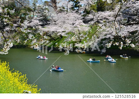 櫻花在Imperial Chidorigafuchi 125528516