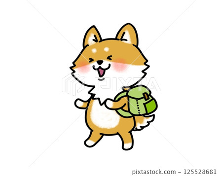 A cute Shiba Inu going on an excursion 125528681